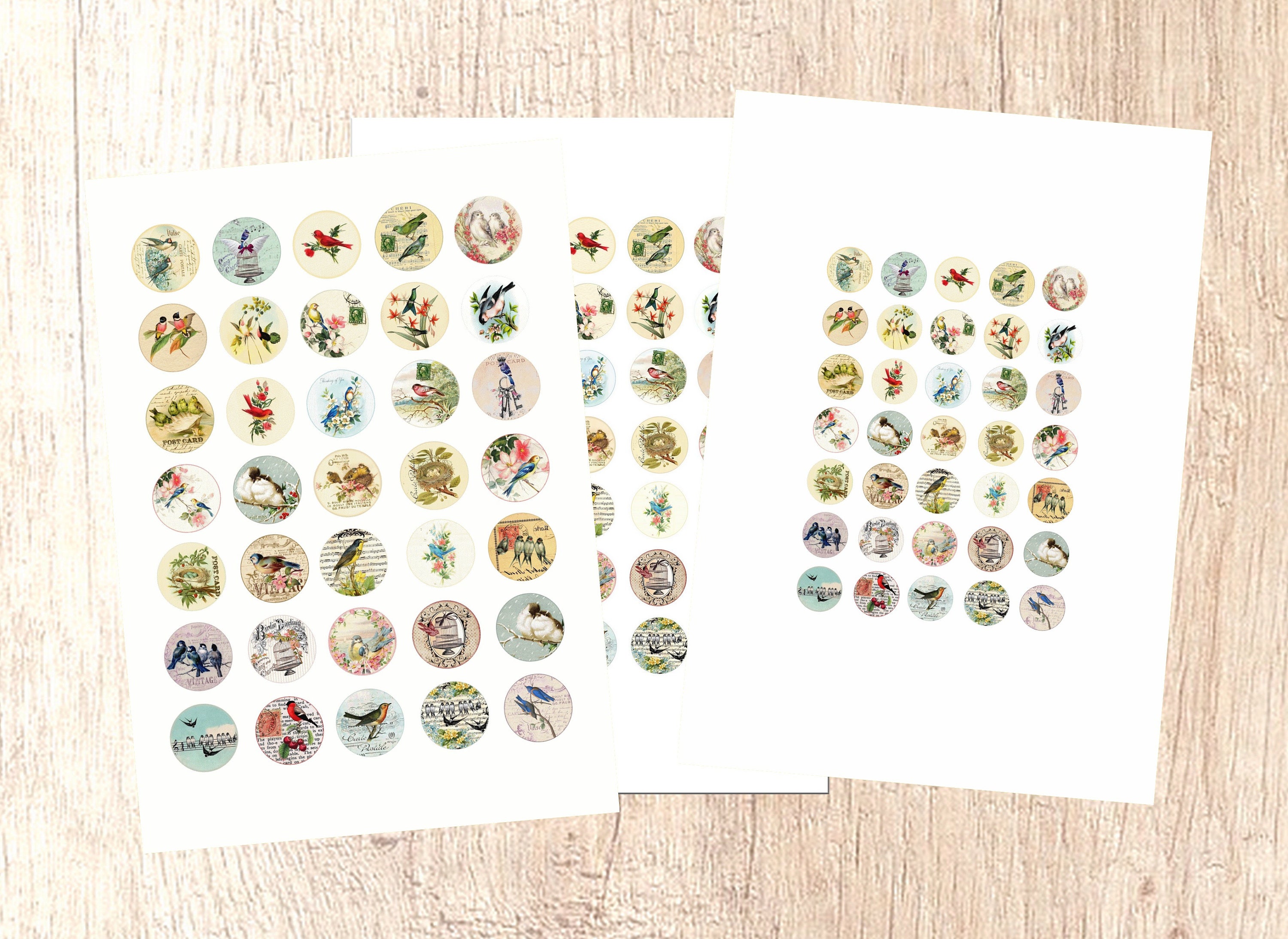 Digital Collage Sheet Vintage Birds 1 Inch Round Image Bird - Etsy