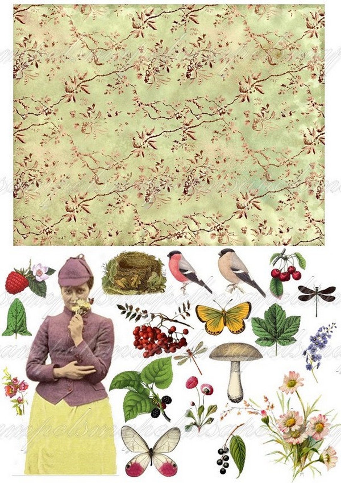 Peter Rabbit Ephemera Pack Beatrix Potter Digital Collage - Etsy