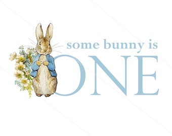 Peter Rabbit clipart Peter rabbit sublimatie sommige konijnen zijn een JPG en PNG bestanden Peter rabbit Babyshower cliparts