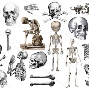 Collage digital Halloween, images digitales squelette, tête de mort, clipart Halloween scrapbooking PNG JPEG junk journal journaling spot