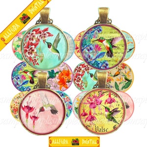 Images digitales cabochon colibri oiseaux du paradis. Images digitales pour cabochon collage digital images cabochon exotiques, tropical