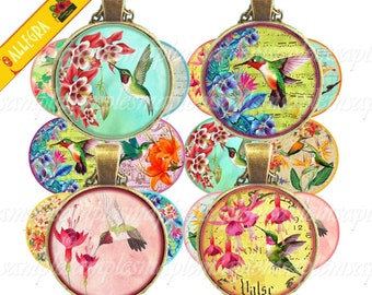 Digital collage sheet circles hummingbirds digital images bird, digital round, one inch circle,  scrapbooking bottle caps, instant download