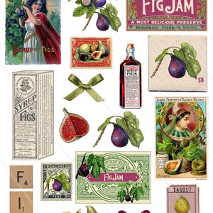 Vintage fig ephemera fig cliparts, PNG, junk journal fig Decor Clipart Farmhouse, vintage fruits cliparts stickers ansd ephemera PNG