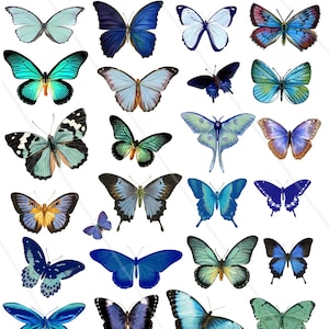 Images digitales papillons clipart papillons bleu papillon vintage papillon à imprimer PNG et Jpeg scrapbooking DIY Cricut Scan N Cut