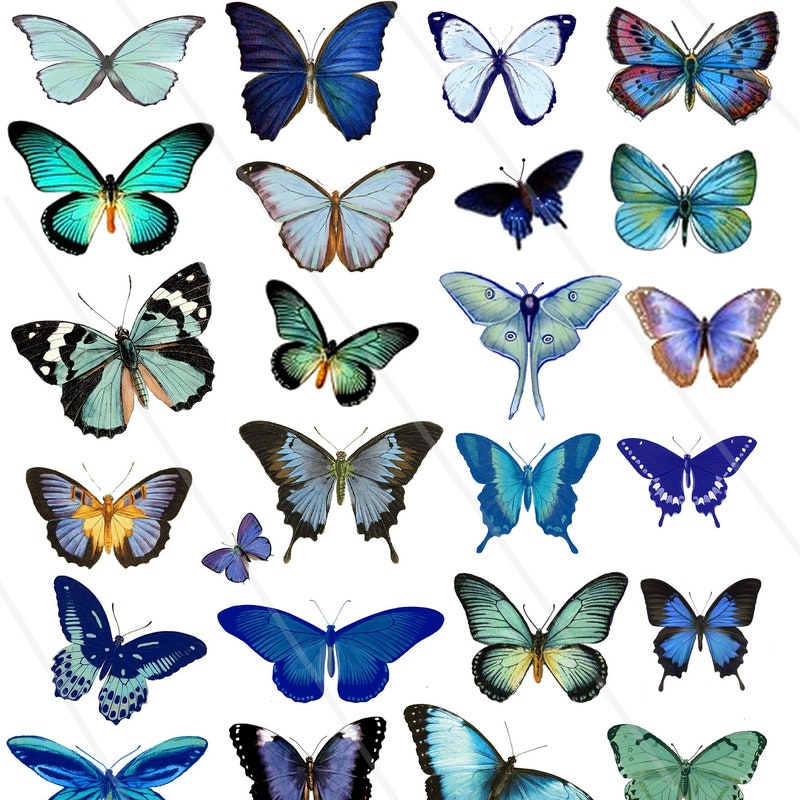 Butterfly Scrapbook - Etsy