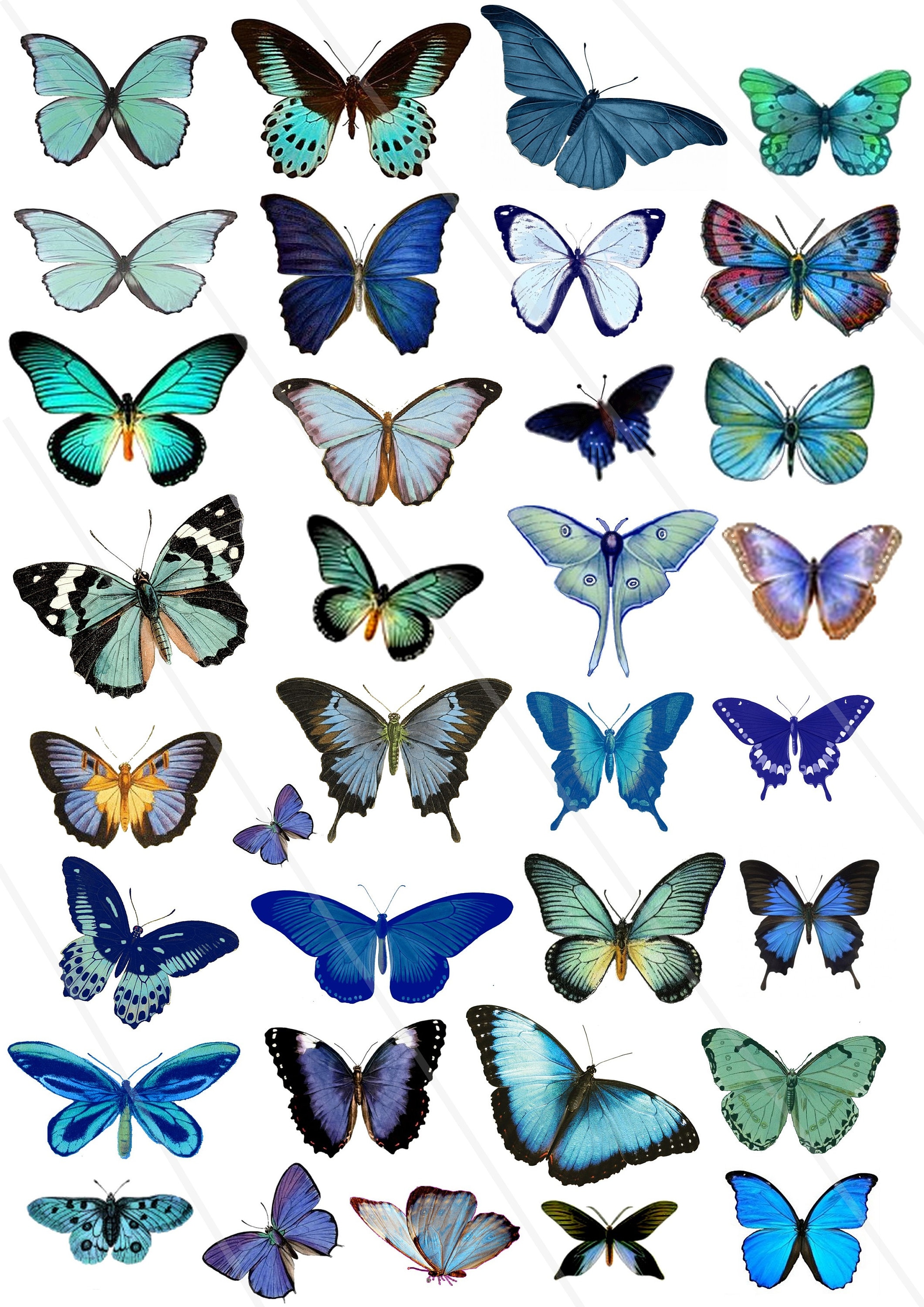 Butterfly Scrapbook Paper 8.5 x 11 Inches, 40 Pages: 20 Double Sided Sheets  with 10 Designs