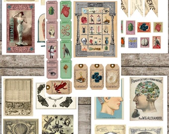 A Cut-Out & Collage Steampunk Collection: Gorgeous Ephemera for Junk  Journals, Scrapbooks, Collages & Mixed Media Paper Projects: by Alexandra,  FAYWARE: : Books
