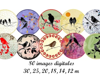 May include: Set of 10 round digital images featuring various designs of birds on branches. The images are in different colors and patterns, including red, blue, green, and yellow. The text "80 images digitales 30, 25, 20, 18, 14, 12 m" is at the bottom of the image.