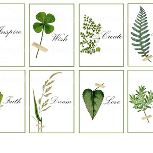 images digitales cartes Herbiers citation scrapbooking junk journal spot journal journaling