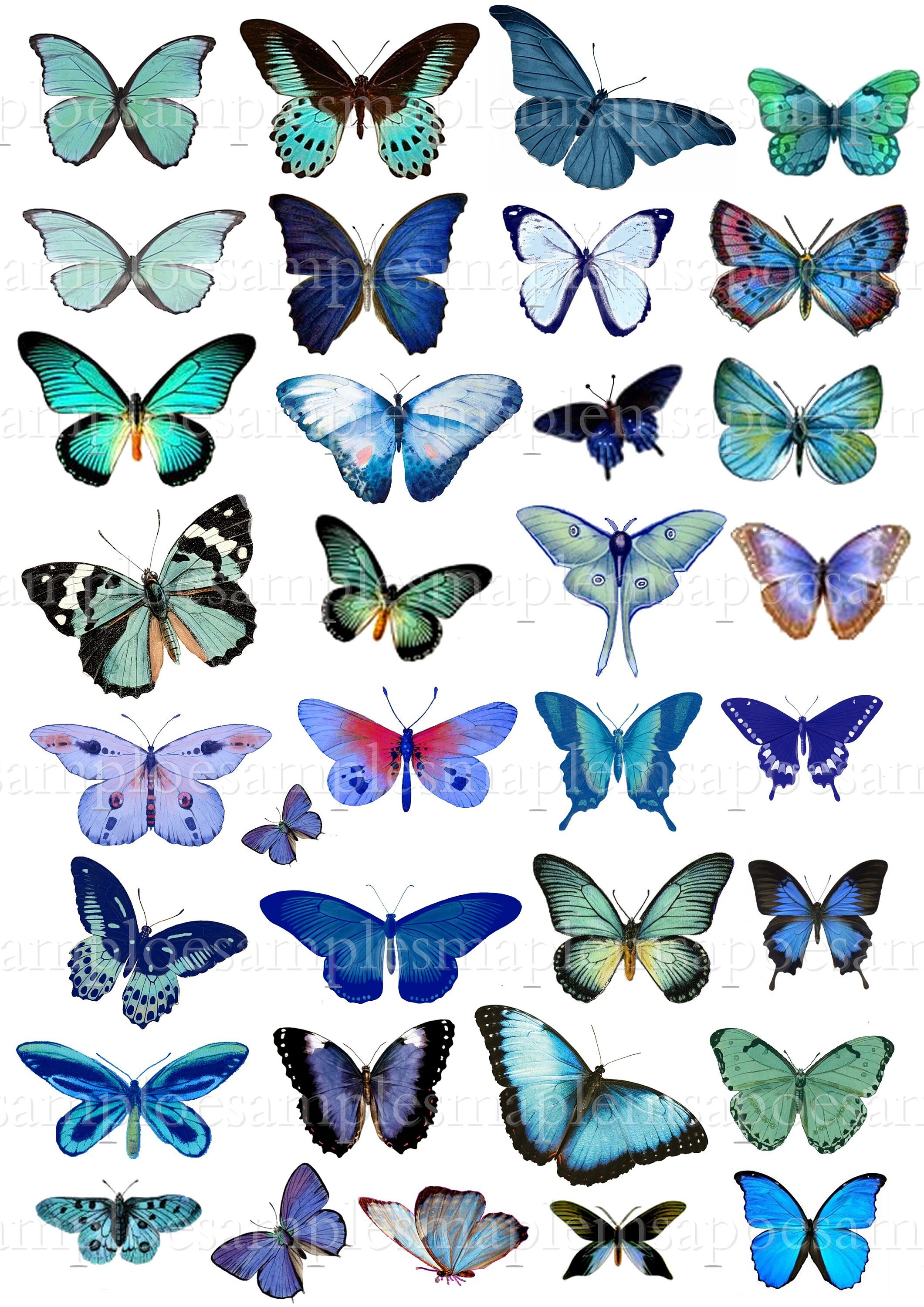 Digital Collage Sheet Butterflies wings Jpeg and PNG butterfly | Etsy