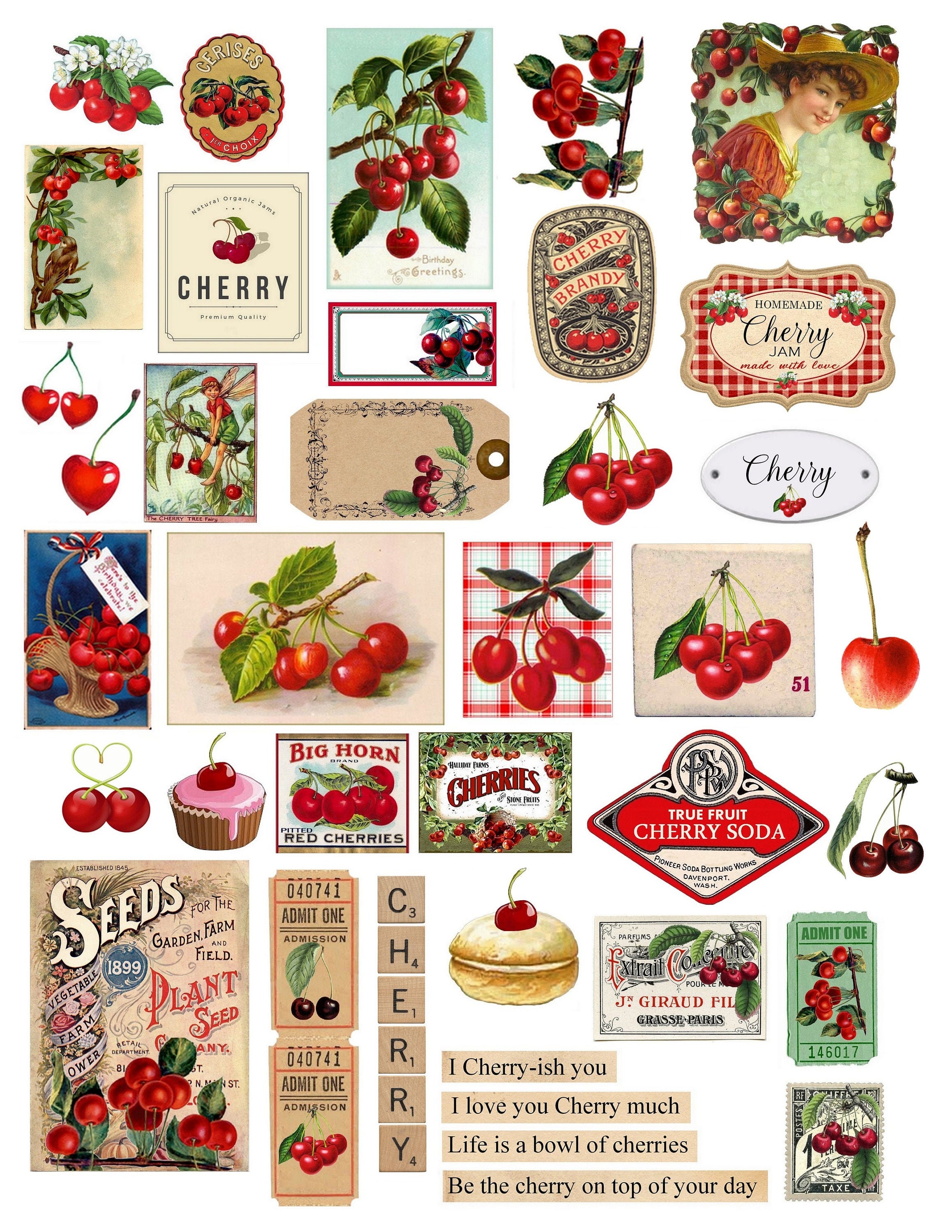 50 Pieces Large Size Fruit Flower Stickers Junk Journal Vintage