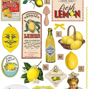 Efímeras de limón vintage: imágenes prediseñadas de limón para revistas basura, decoración rústica de cocinas y casas de campo: descarga instantánea