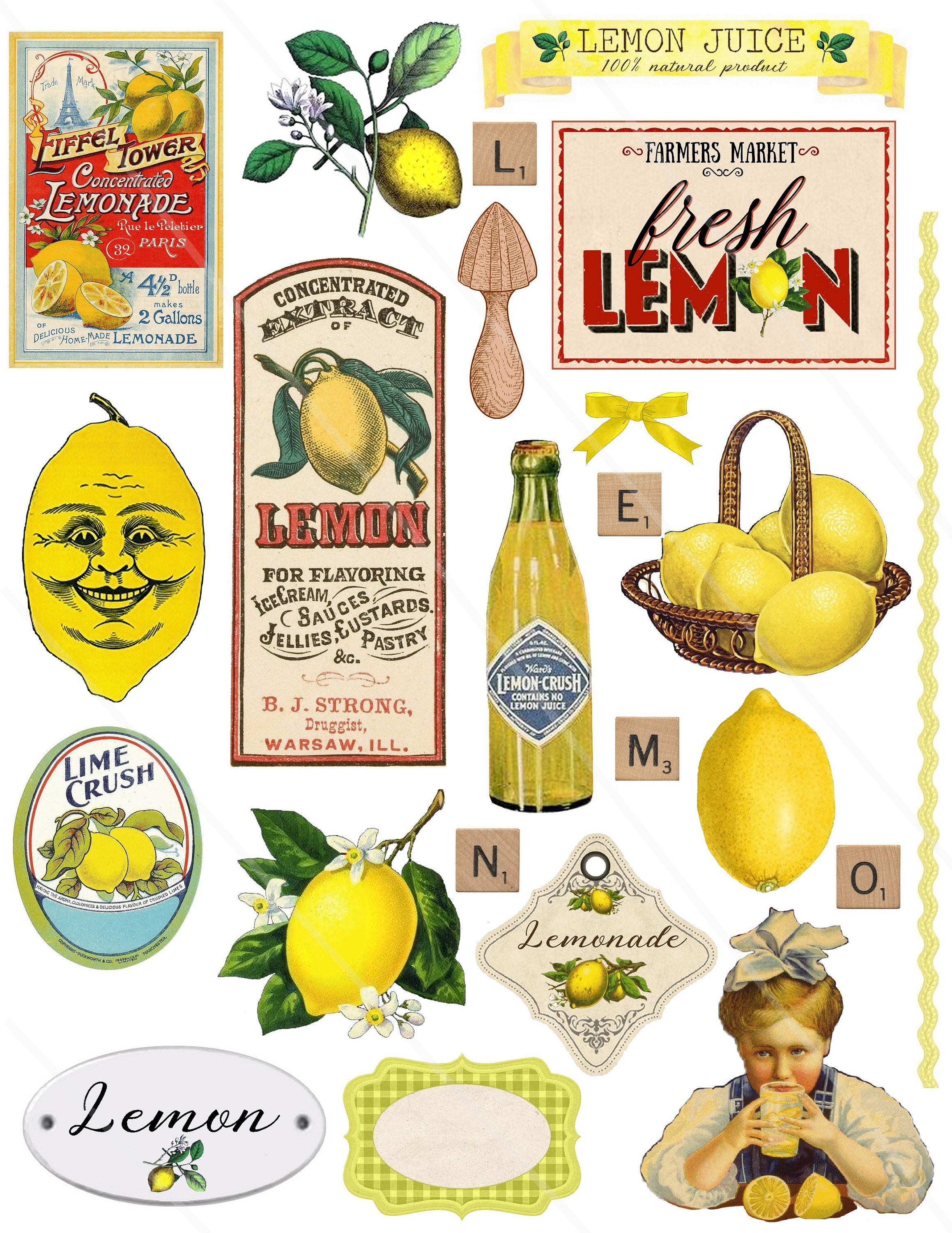 Vintage Lemon ephemera Lemon cliparts PNG junk journal Lemon - Etsy México