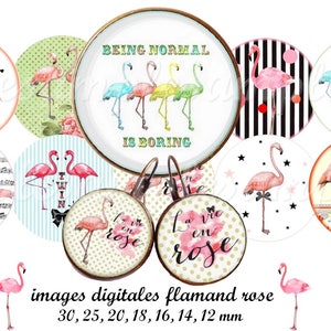 Flamand Rose-Images digitales cabochon, images digitales bijoux, image cabochon flamand rose 30 mm, 25 mm, 18 mm 16 mm, 14 mm, 12 mm
