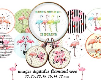 Pink Flamingos digital collage sheet 1 inch bottlecaps circle Digital pink birds images for pendant magnets bezel settings instant download