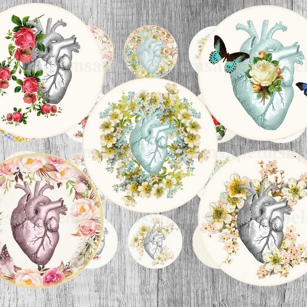 Digital collage sheet circles heart anatomical, 1" inch circle,pendant images, bottle cap images, digital rounds, instant download