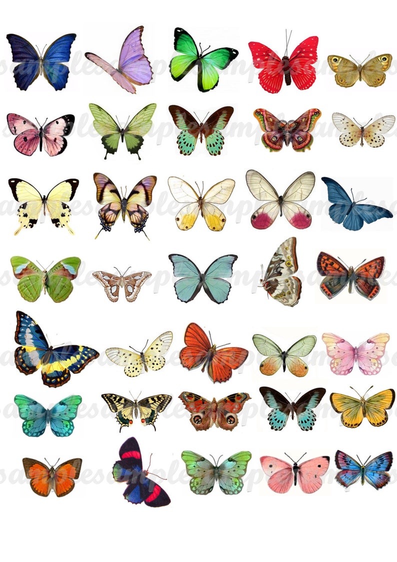 Digital Collage Sheet Butterflies wings JPEG-Instant Download butterfly clipart Digital Scrapbook Paper butterfly image 1