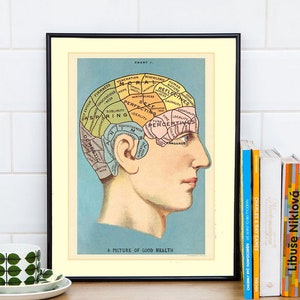 Printable artwork, digital download vintage anatomy, vintage art print-it-yourself wall Art for home decor by Allegradigital
