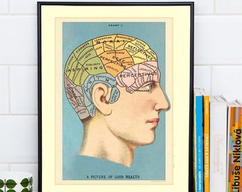 Printable artwork, digital download vintage anatomy, vintage art print-it-yourself wall Art for home decor by Allegradigital