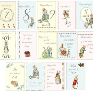 Pode incluir: Um conjunto de 12 cart&otilde;es ilustrados com um personagem de coelho. Cada cart&atilde;o tem um marco diferente para um beb&ecirc;, como "7 meses", "11 meses", "um ano" e "Meu primeiro dente". Os cart&otilde;es s&atilde;o impressos em um fundo branco com uma borda azul claro, rosa ou amarelo.