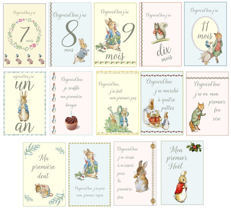 Pode incluir: Um conjunto de 12 cart&otilde;es ilustrados com um personagem de coelho. Cada cart&atilde;o tem um marco diferente para um beb&ecirc;, como "7 meses", "11 meses", "um ano" e "Meu primeiro dente". Os cart&otilde;es s&atilde;o impressos em um fundo branco com uma borda azul claro, rosa ou amarelo.
