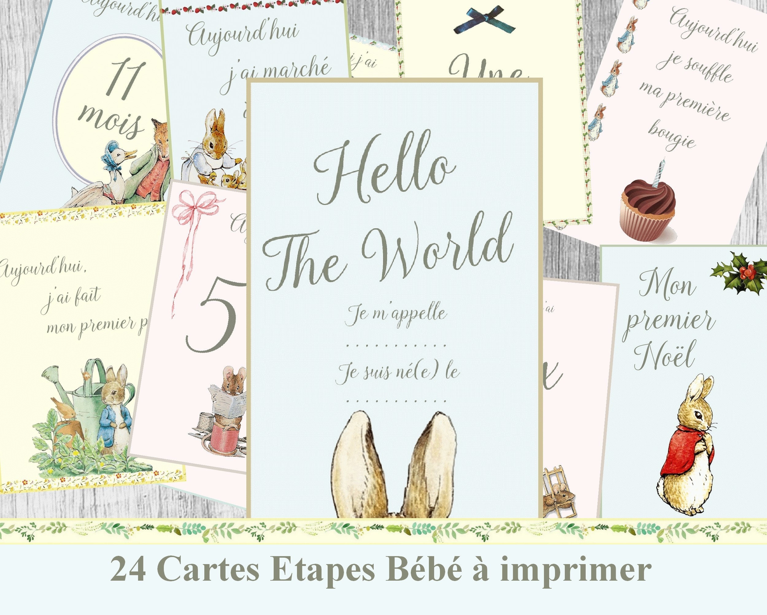 Cartes Etapes Bebe A Imprimer Pierre Lapin Baby Step Baby Etsy