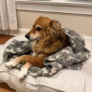 May include: A medium-sized dog with brown fur and white paws is nestled on a patterned dog bed, covered by a gray and white chunky knit blanket. The dog is looking to the left, appearing relaxed and comfortable.