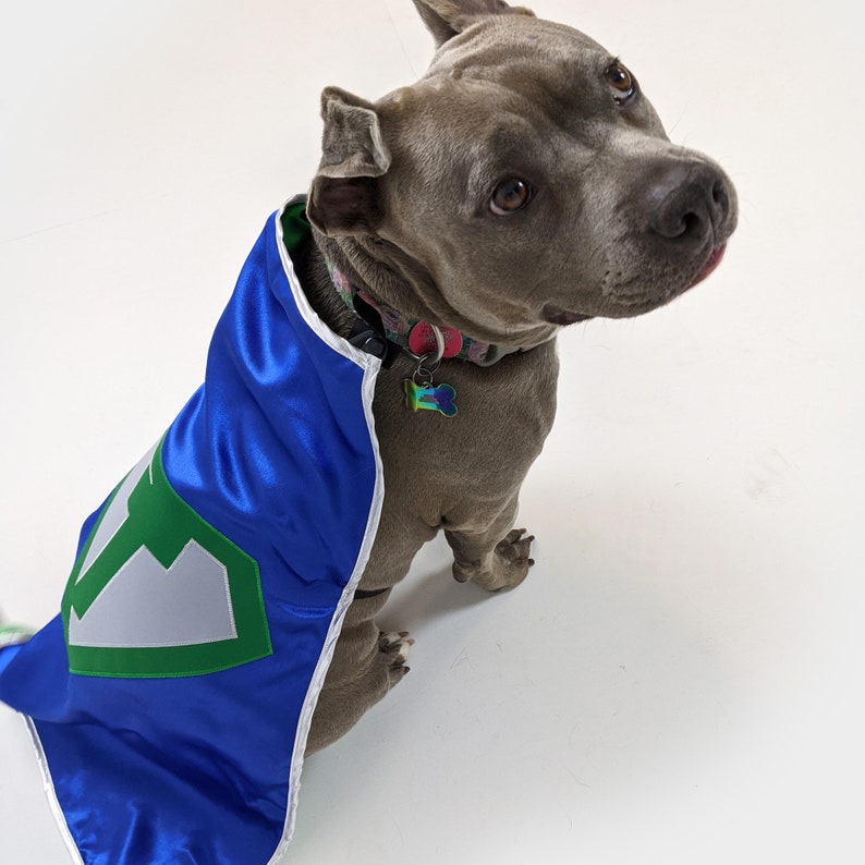 Personalized Dog Superhero Cape, Pet Super Hero Costume Cape with emblem and initial