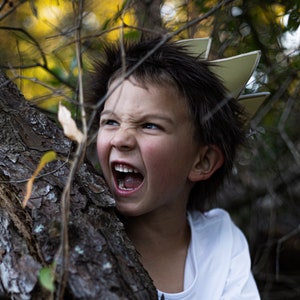 Where the Wild Things Are Crown & Tail | Max Crown with Faux Fur Trim and Fur Tail, Wild One