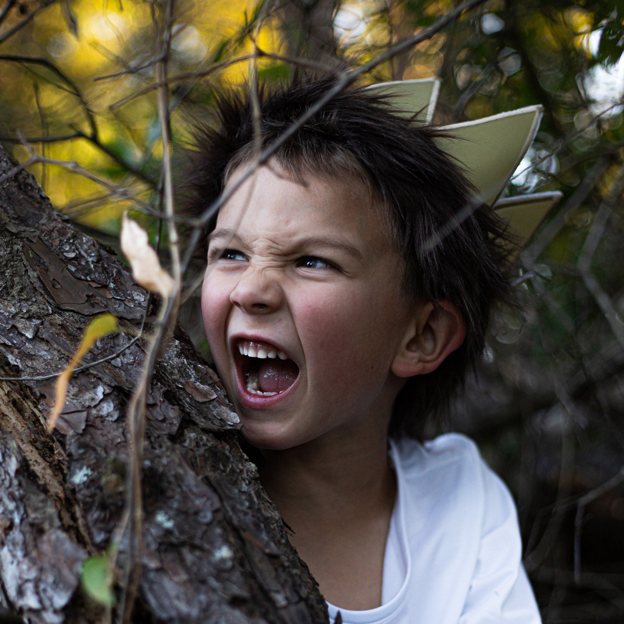 Where the Wild Things Are Crown & Tail | Max Crown with Faux Fur Trim and Fur Tail, Wild One