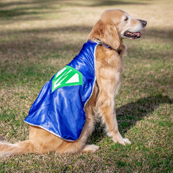 Personalized Dog Superhero Cape | Custom Pet Super Hero Costume - Choose Superhero Emblem and Initial