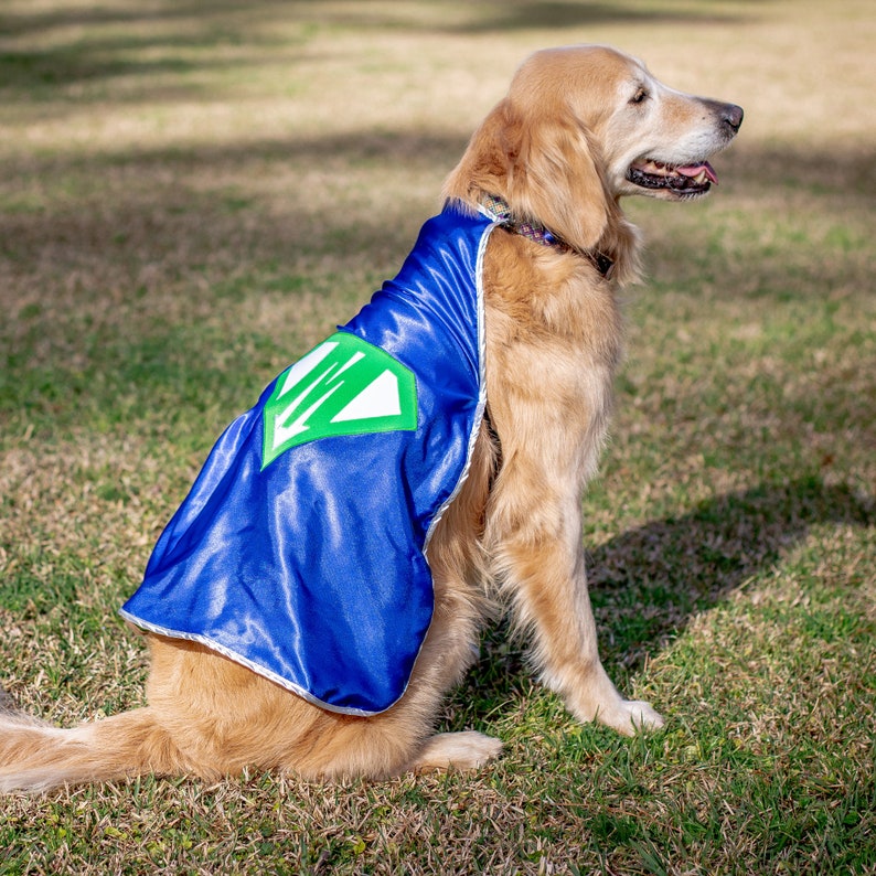 Personalized Dog Superhero Cape, Pet Super Hero Costume Cape with emblem and initial