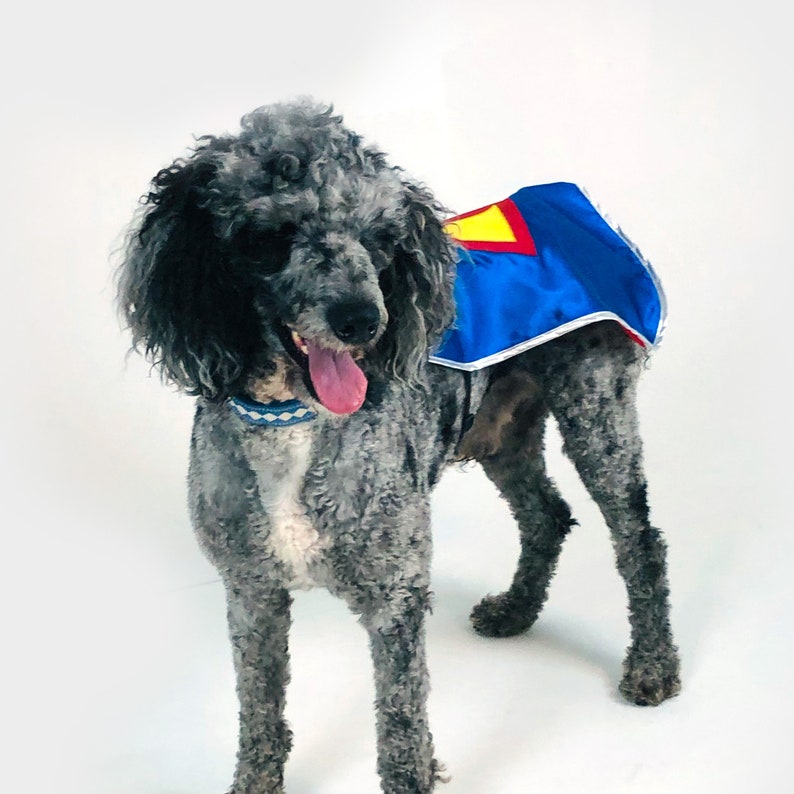 Personalized Dog Superhero Cape, Pet Super Hero Costume Cape with emblem and initial