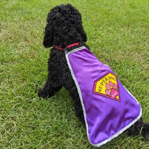 Super Dog Personalized  Cape | Custom Pet Superhero Costume with name and initial