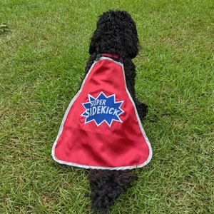Super Sidekick Dog Cape | Custom Pet Superhero Costume, Hero Cape for Dog