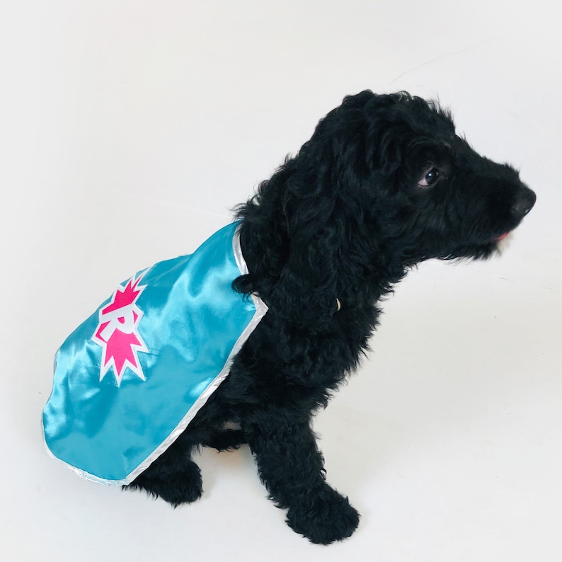 Personalized Dog Superhero Cape, Pet Super Hero Costume Cape with emblem and initial