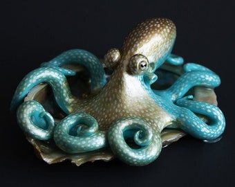 6cm x 7.5cm - Caribbean Reef Octopus Sculpture in Abalone Shell