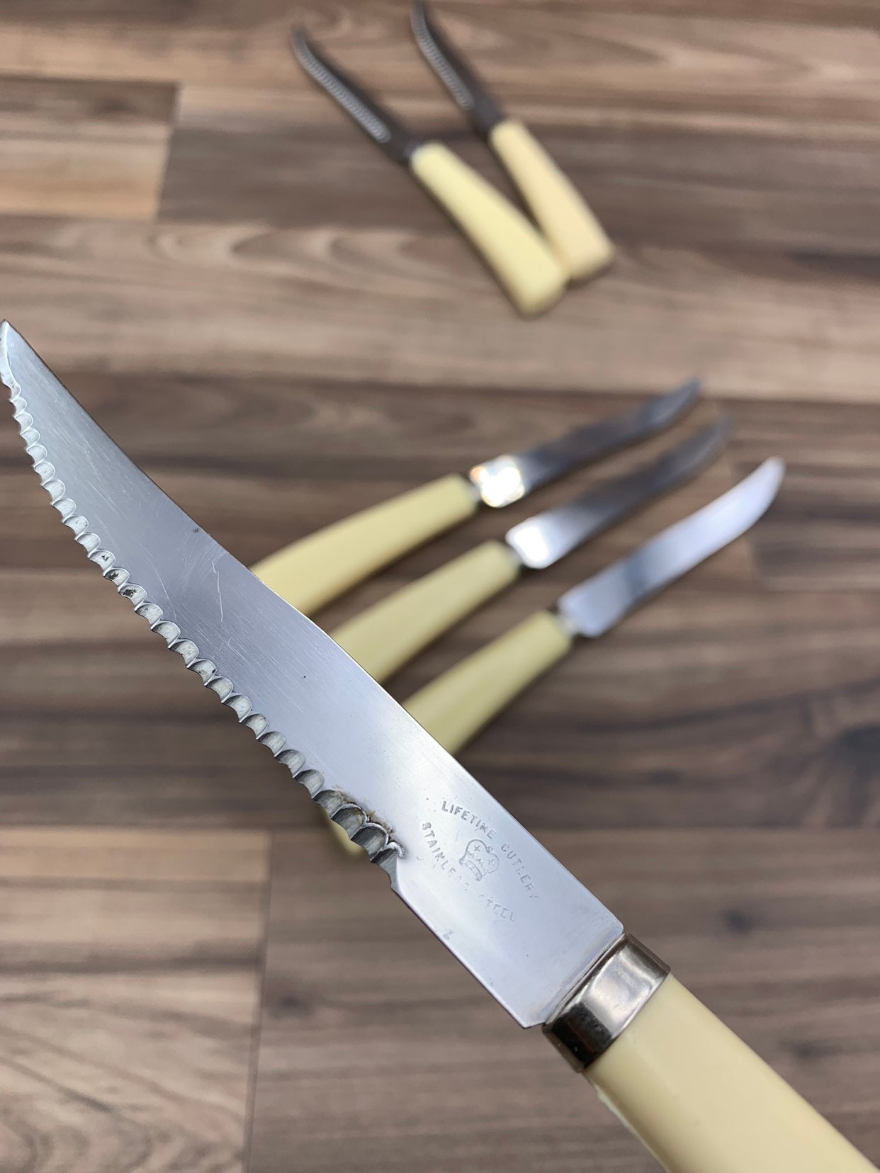 Vintage Steak knife set with Plastic Handles, Lifetime Cutlery Serrated