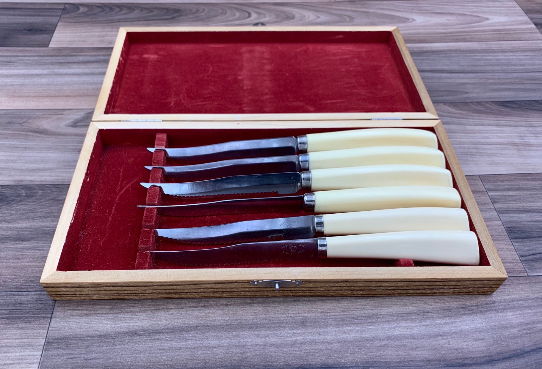 Vintage Steak knife set with Plastic Handles, Lifetime Cutlery Serrated