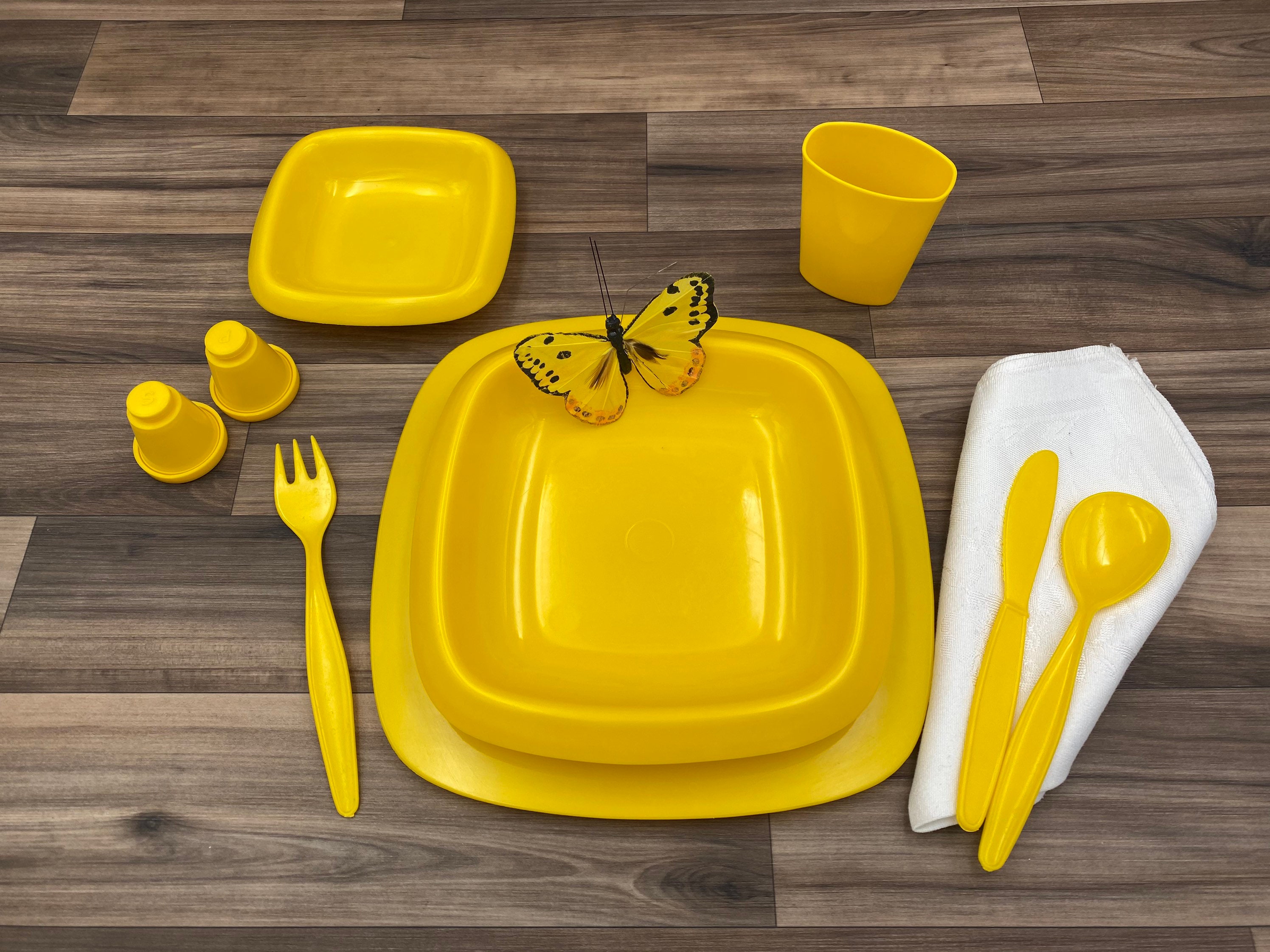 Vintage Plastic set, Picnic dishes in carrying case, service for 4