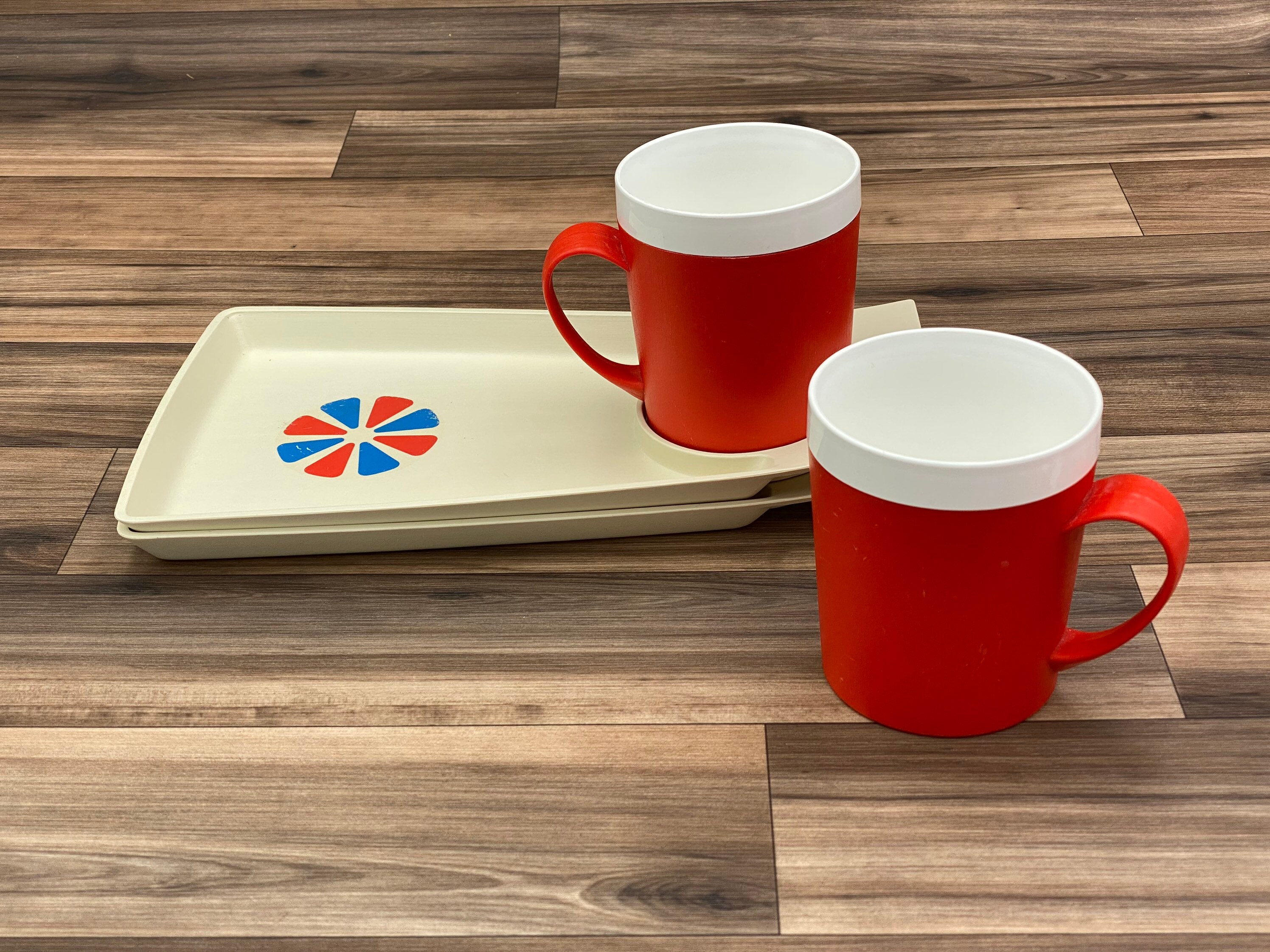 Vintage Picnic set, Plastic Plate and mug set, Picnic plates, Vintage