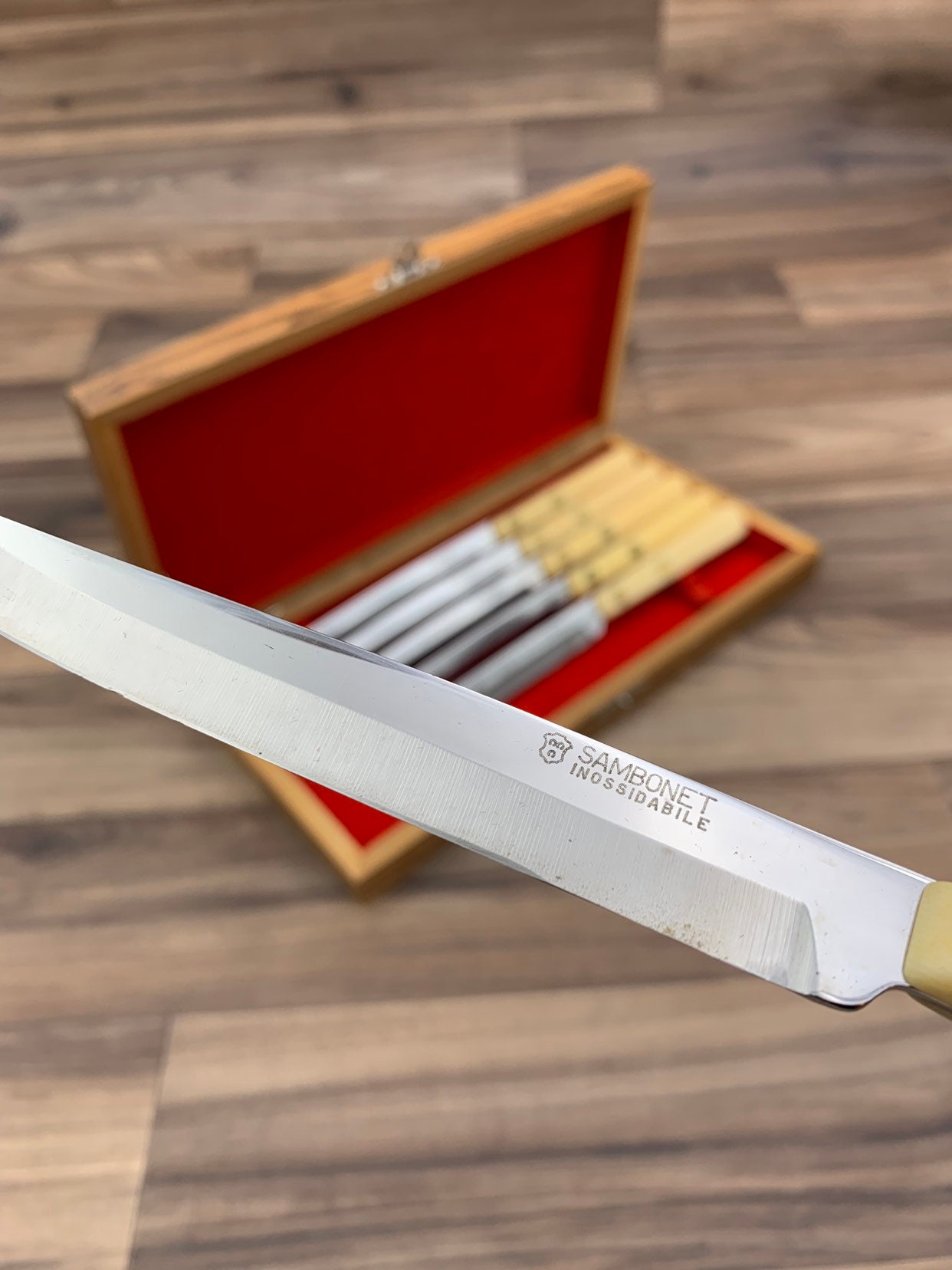 Vintage Steak knife set with Plastic Handles, Italian Cutlery