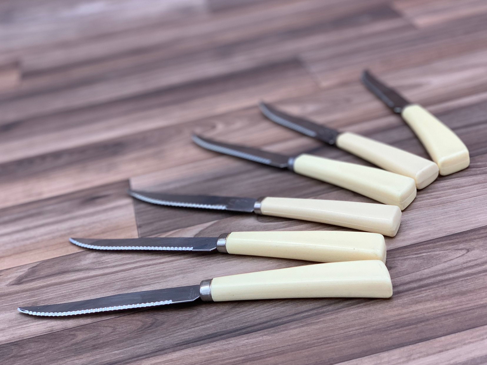 Vintage Steak knife set with Plastic Handles, Lifetime Cutlery Serrated