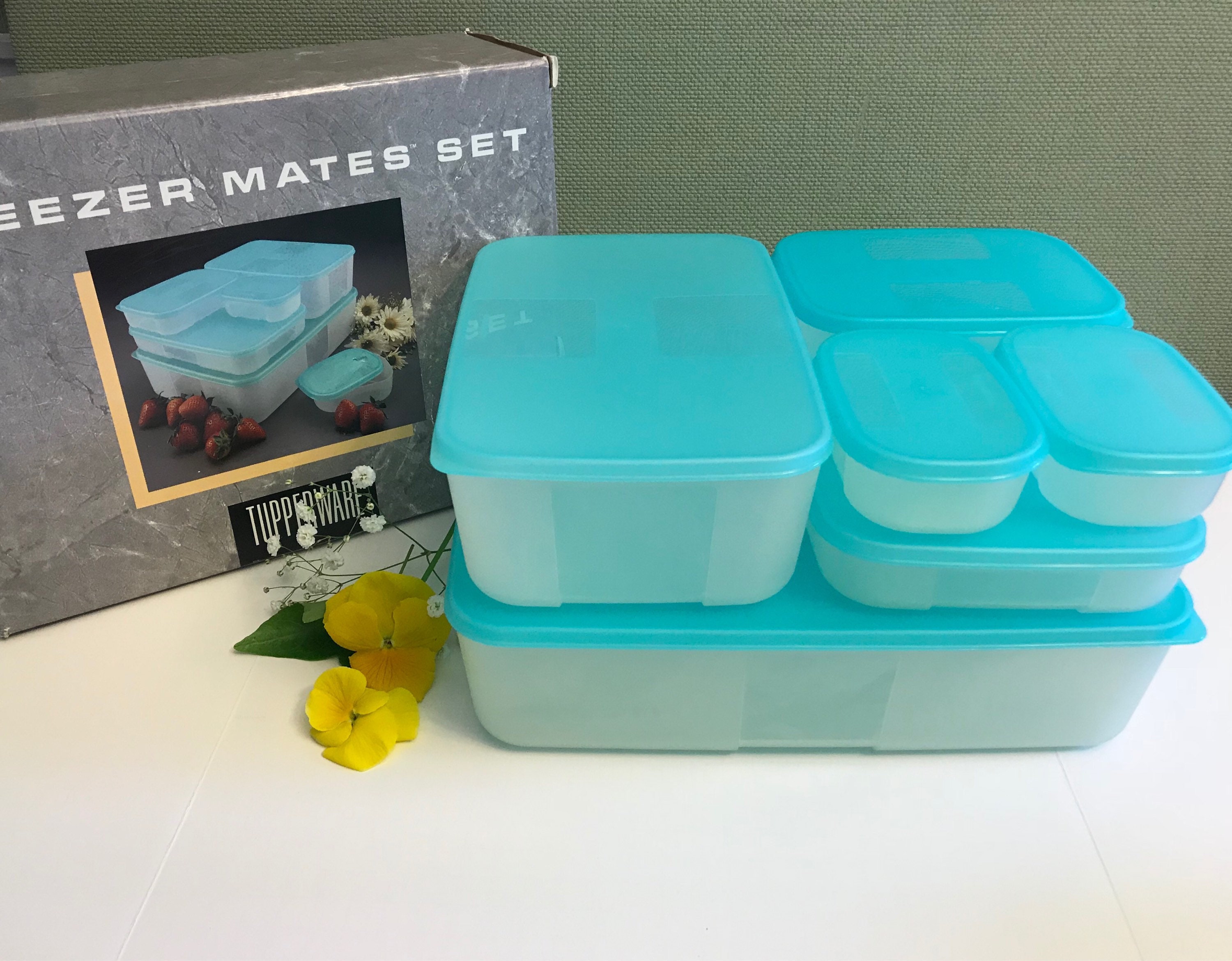 freezer containers freezer containers