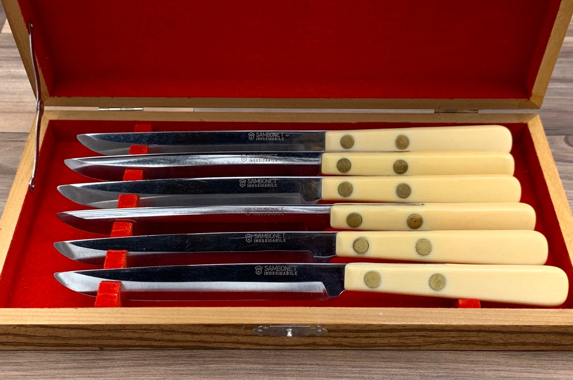 Vintage Steak knife set with Plastic Handles, Italian Cutlery