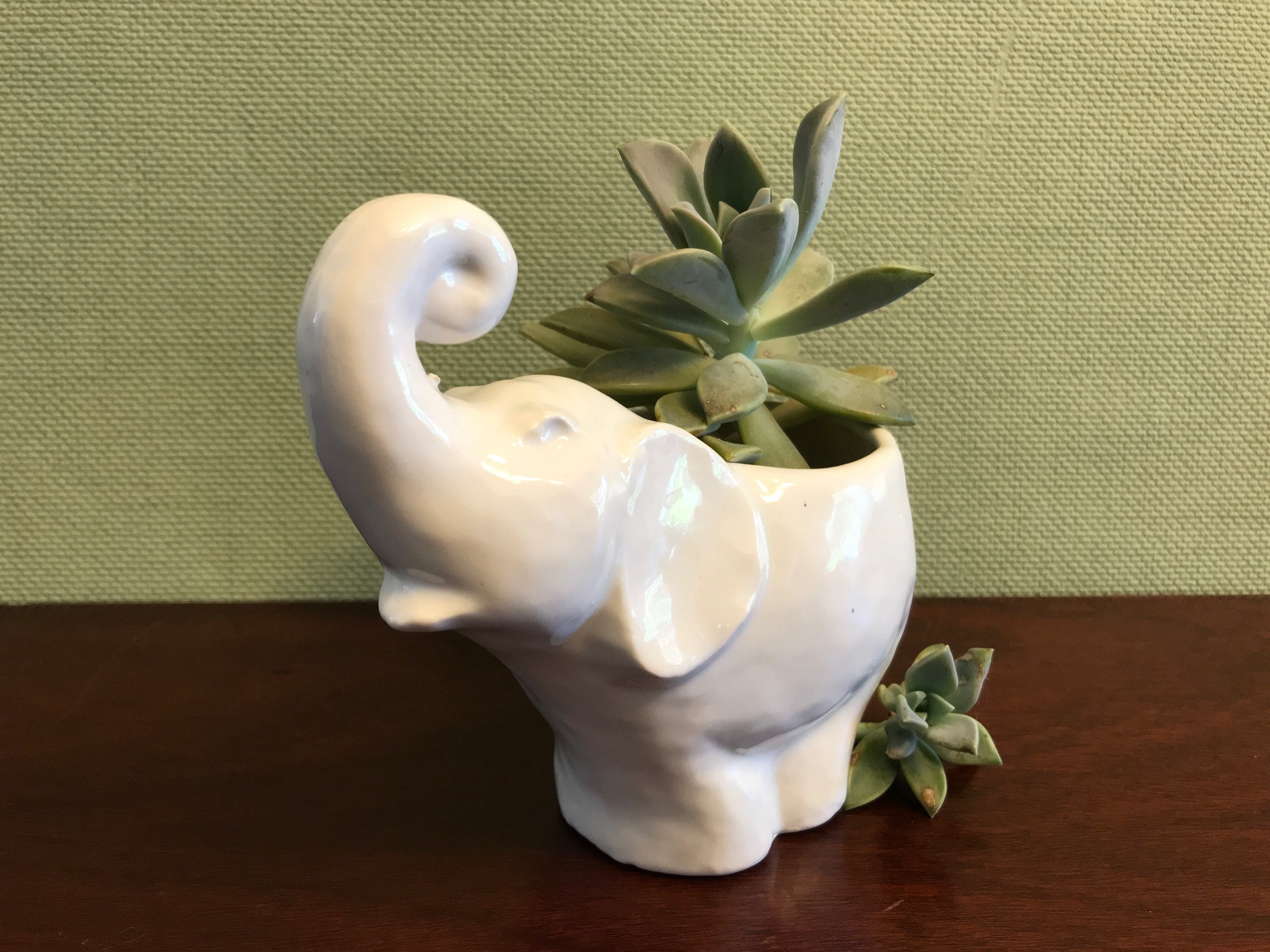 White Elephant Planter, indoor succulent planter, Ceramic elephant pot