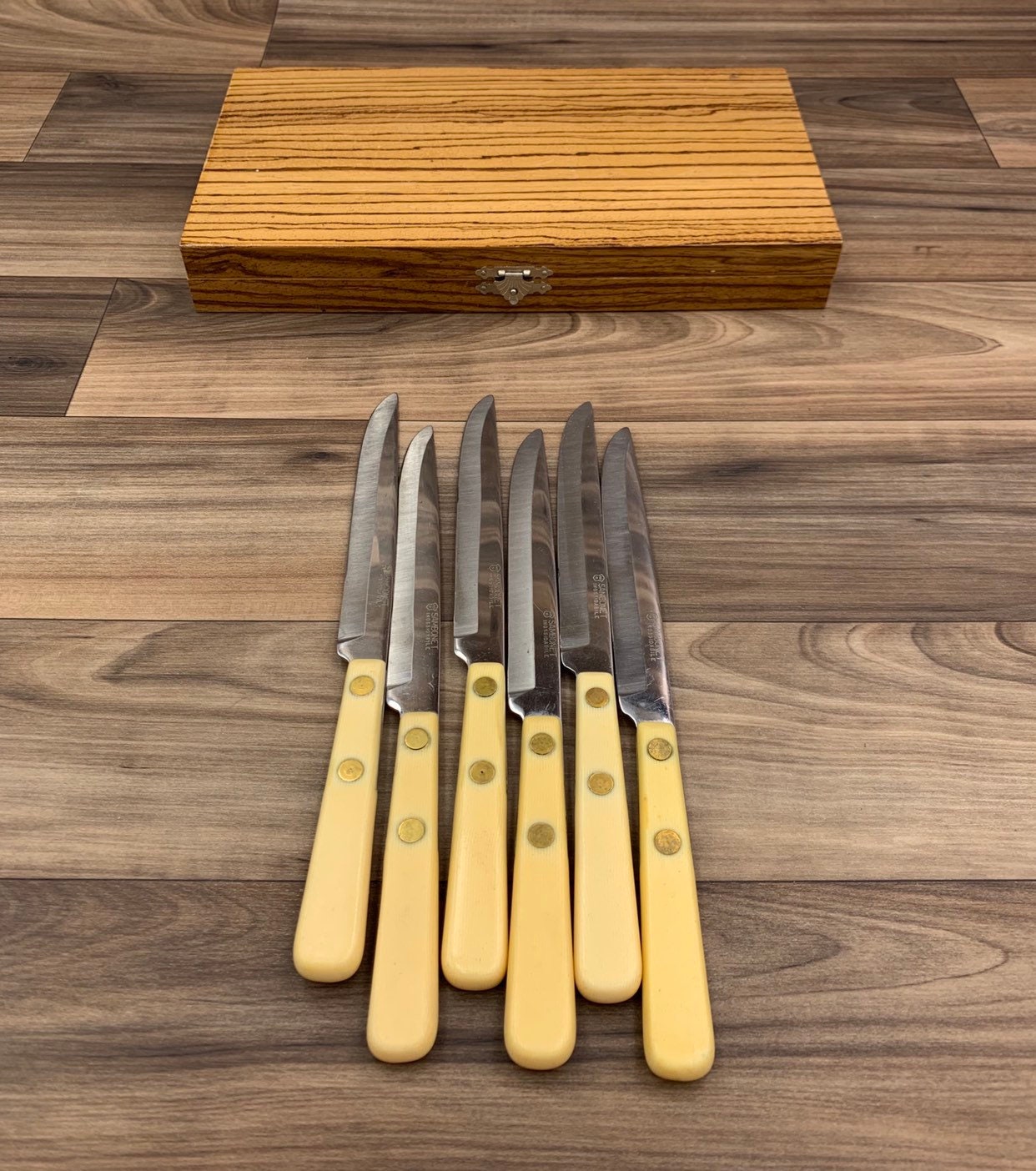 Vintage Steak knife set with Plastic Handles, Italian Cutlery