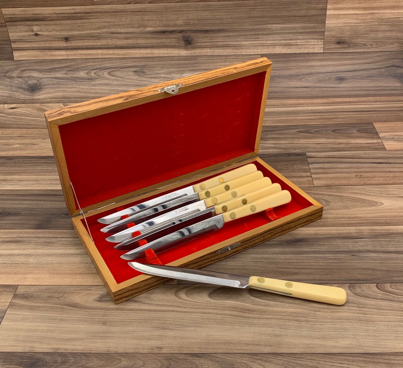 Vintage Steak knife set with Plastic Handles, Italian Cutlery