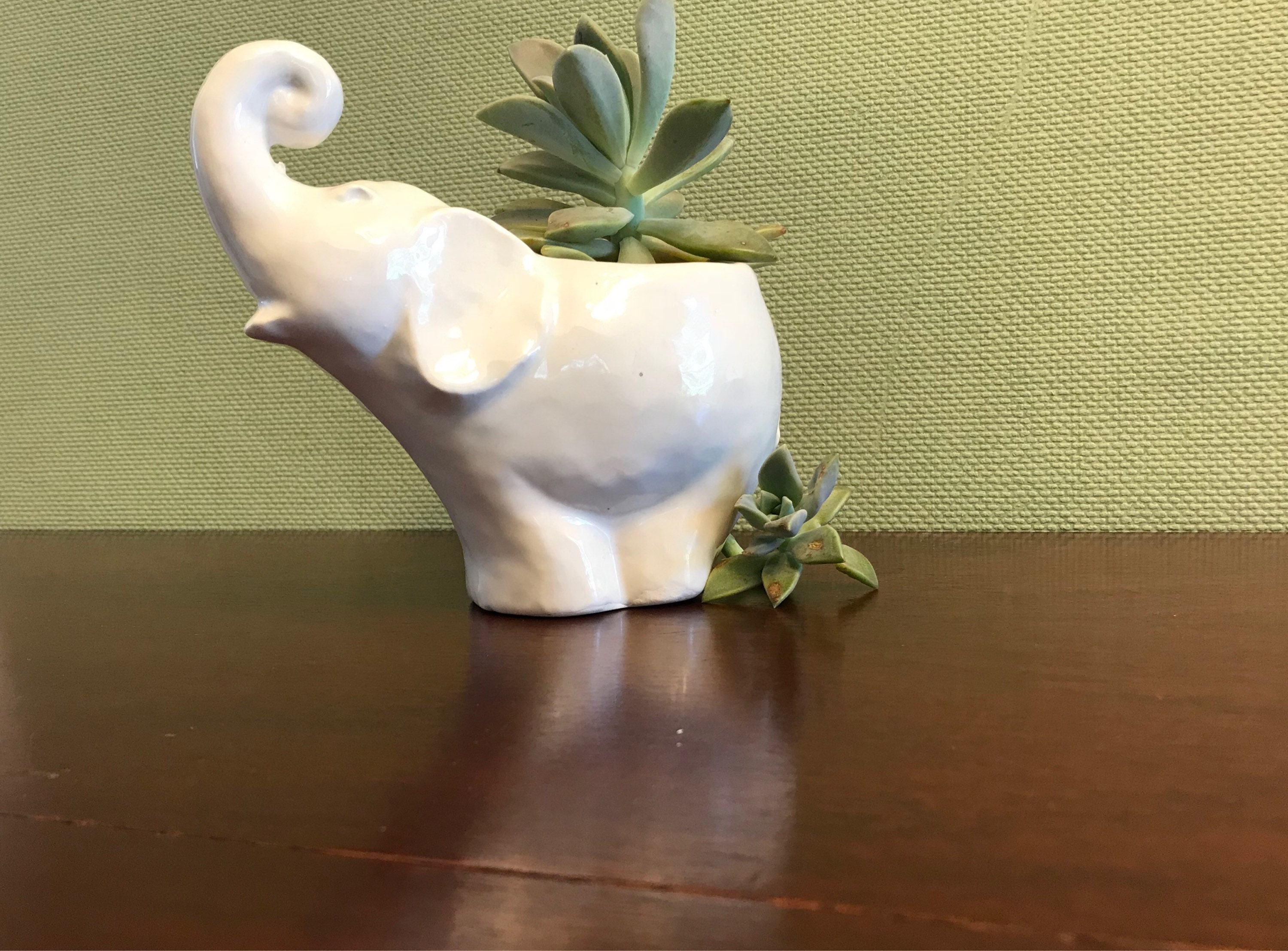 White Elephant Planter, indoor succulent planter, Ceramic elephant pot, white elephant gift