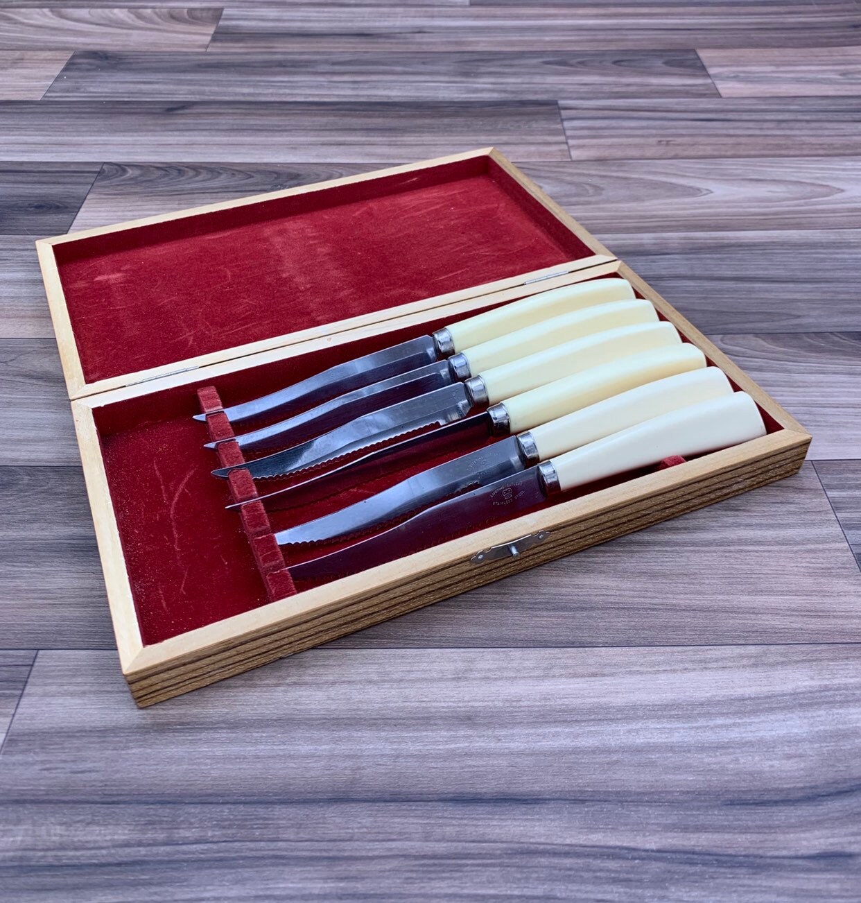 Vintage Steak knife set with Plastic Handles, Lifetime Cutlery Serrated